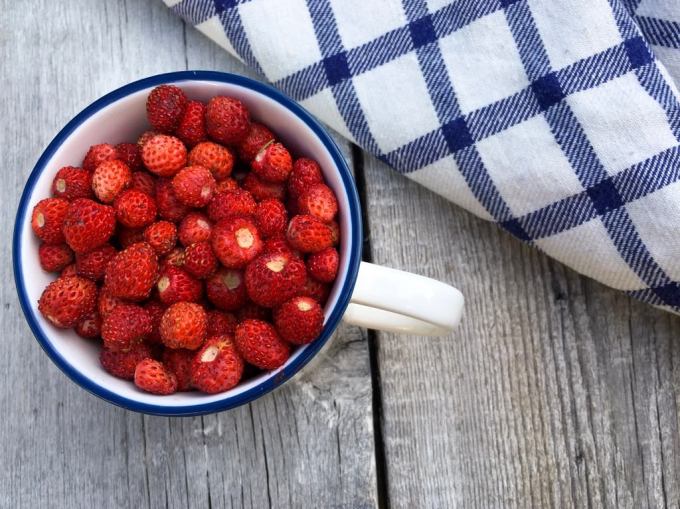 metsmaasikad kruusis