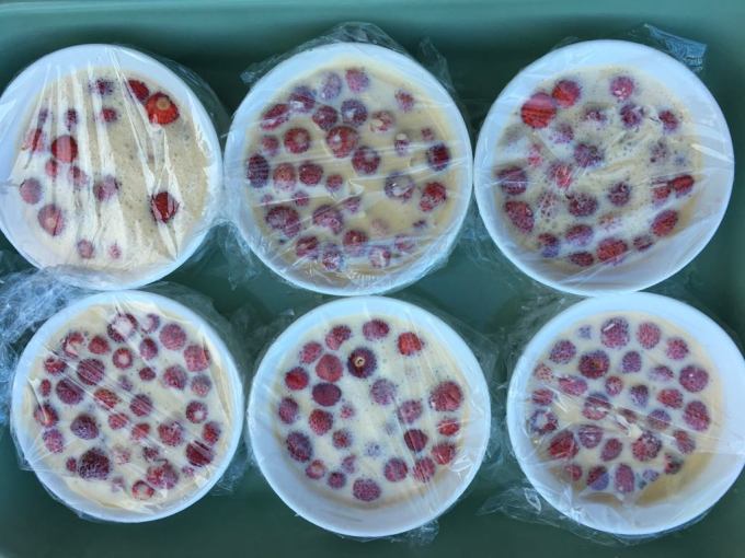 pooleli-metsmaasikakreem